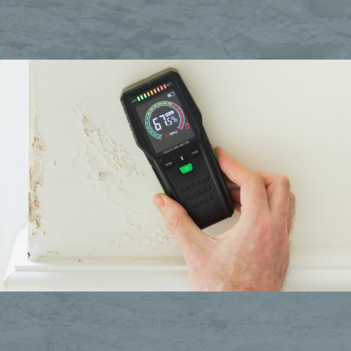 Diagnostic d’humidité sur un mur abîmé, contrôle indispensable avant rénovation d’une maison en Corse.